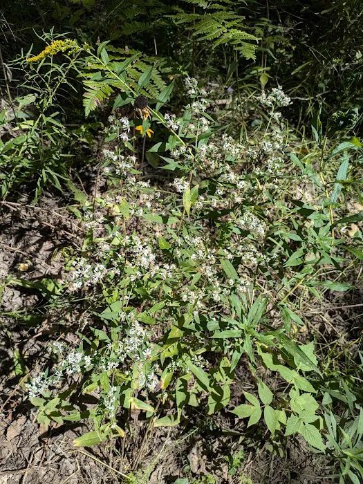 Sturgeon Bend Campground 5