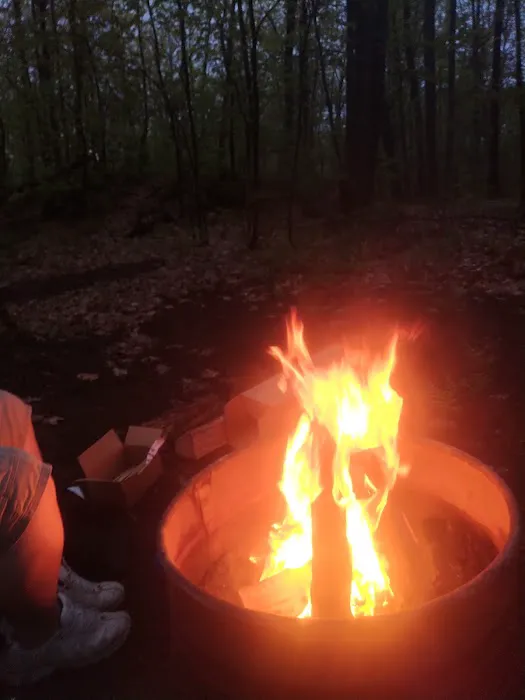 Forestville Campground 6