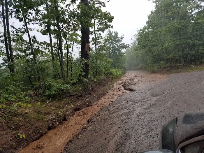Forestville Campground 8