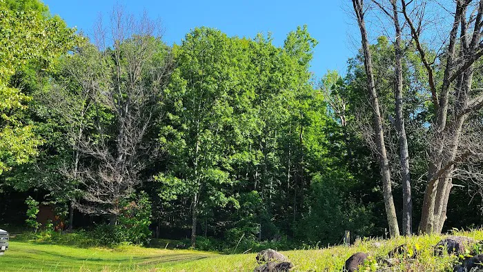 WE Energies Wilderness Shores Recreation Area #34 0
