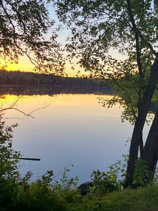 Pine River Flowage Boat Landing and Camp Sites (south end) 3