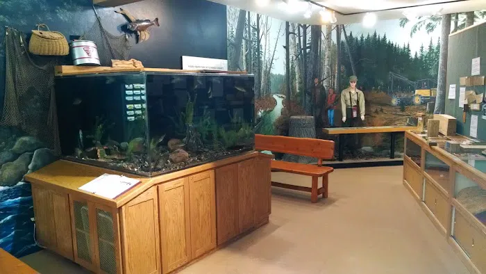 US Forestry Department 6