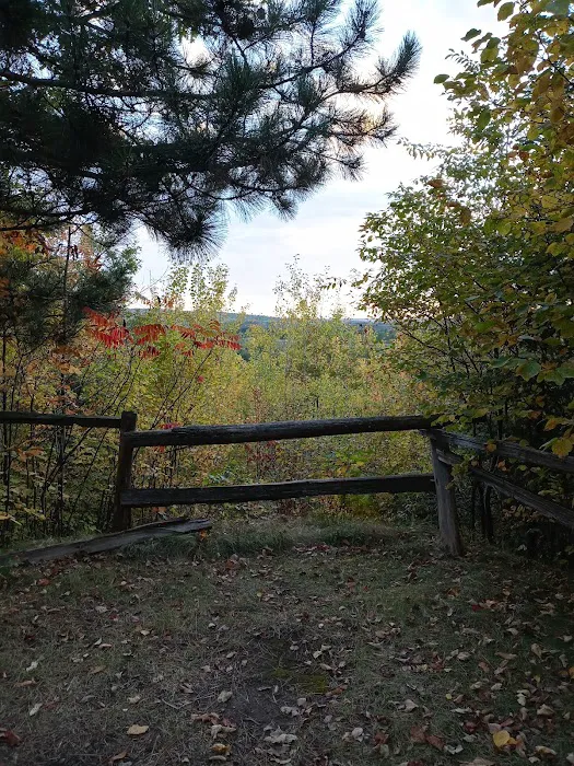 Camping In the Clouds/Mineshaft Bar & Grill 3