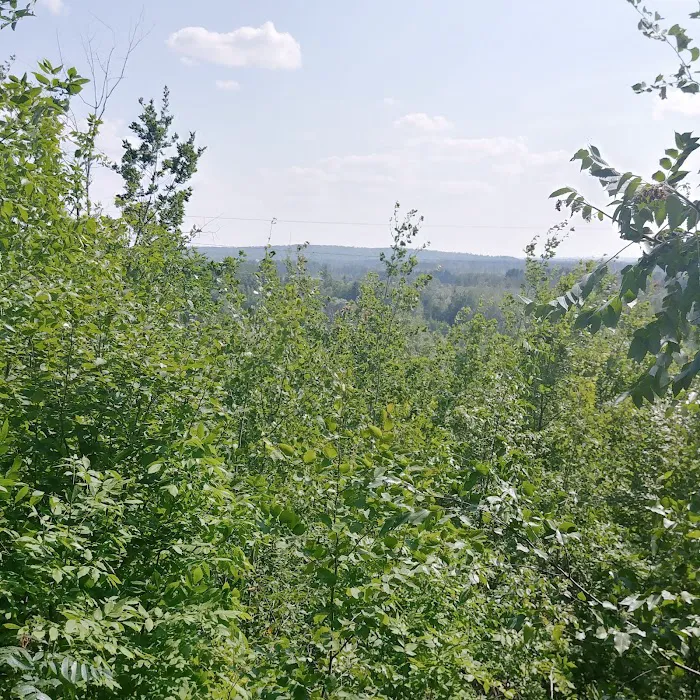 Camping In the Clouds/Mineshaft Bar & Grill 4
