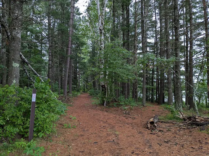 Genes Pond State Forest Campground 7