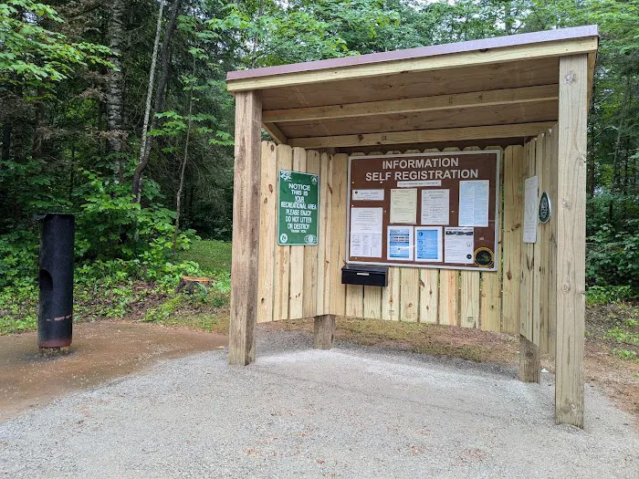 Genes Pond State Forest Campground 8
