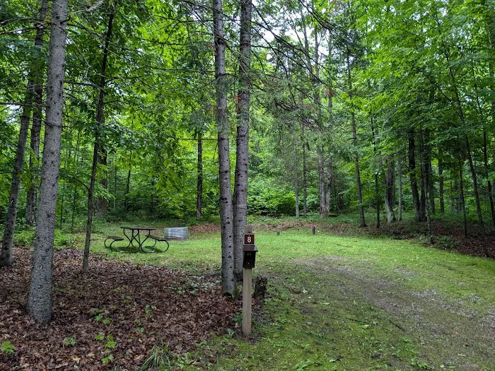 Genes Pond State Forest Campground 5
