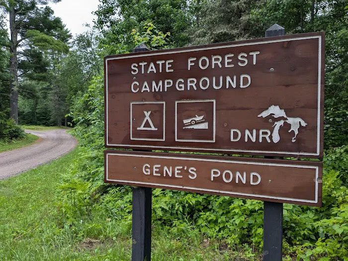 Genes Pond State Forest Campground 4