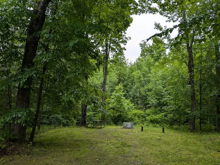 Genes Pond State Forest Campground 9