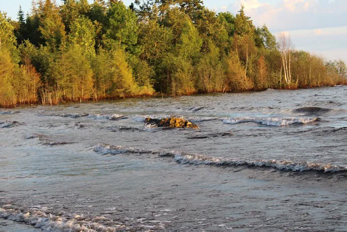 Hog Island State Forest Campground 4