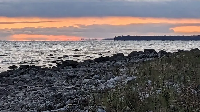 Hog Island State Forest Campground 1