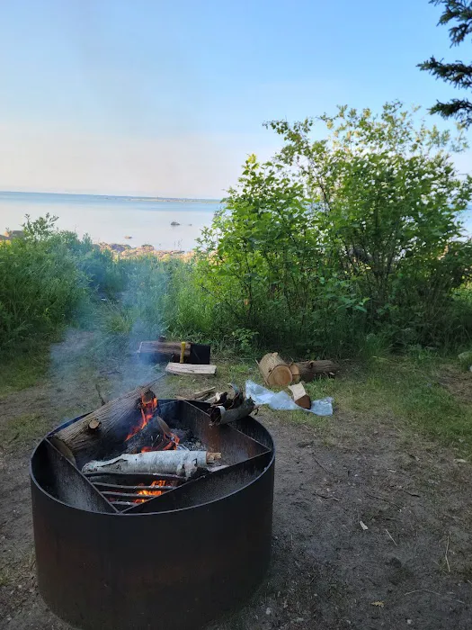 Hog Island State Forest Campground 5