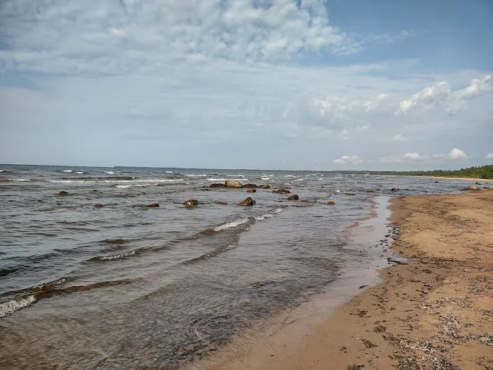 Hog Island State Forest Campground 6