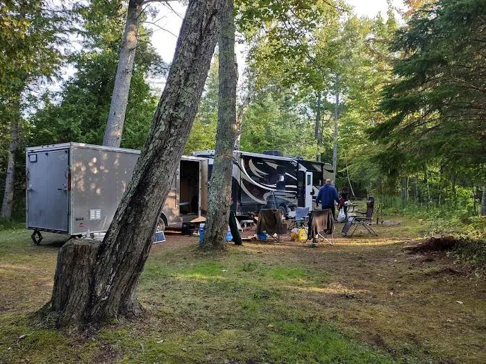 Hog Island State Forest Campground 7