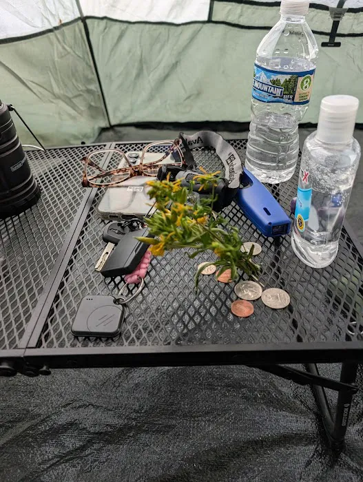 Trout Lake Township Campground 8