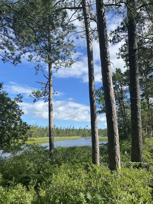 Big Knob State Forest Campground 3