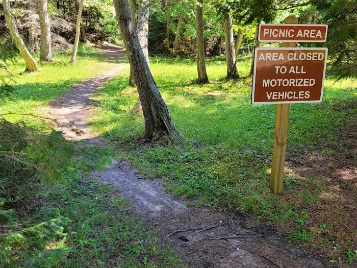 Big Knob State Forest Campground 4