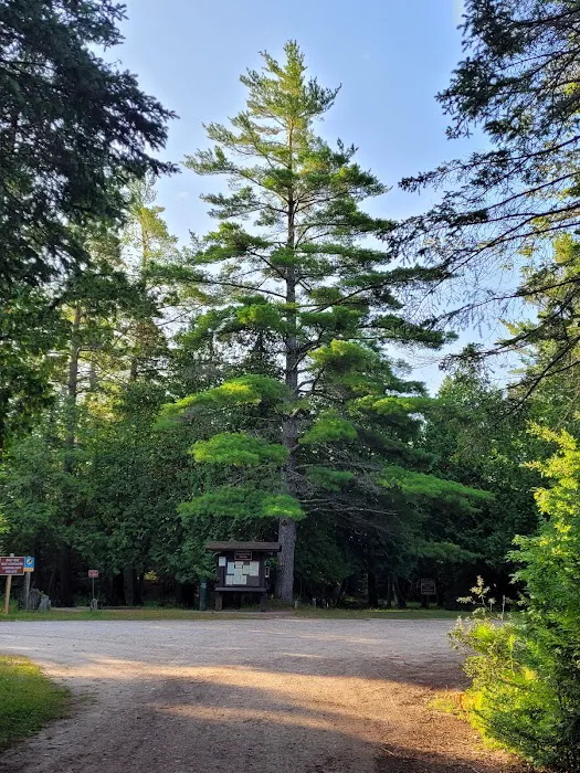 Big Knob State Forest Campground 8