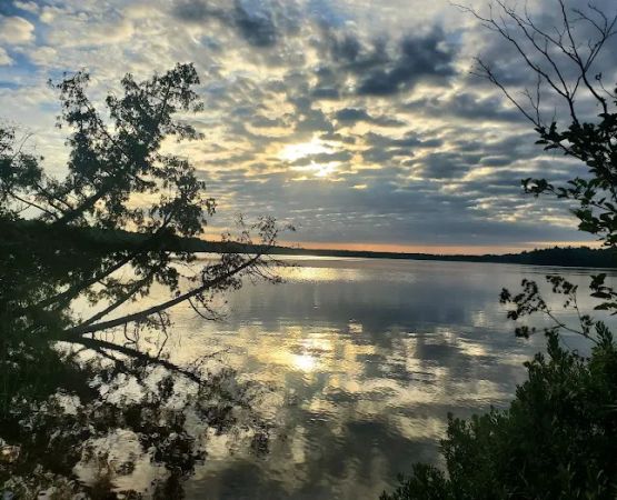 Little Brevort Lake - North State Forest Campground