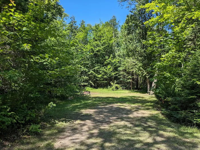 Little Brevort Lake - North State Forest Campground 3