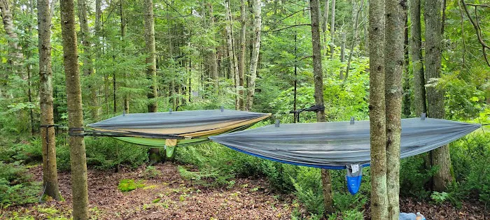 Little Brevort Lake - North State Forest Campground 7