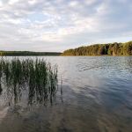 Brevort Lake Campground