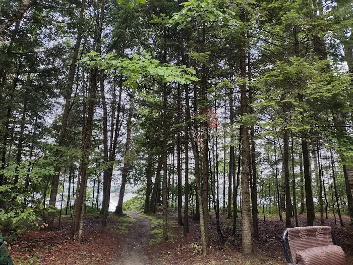 Brevort Lake Campground 5