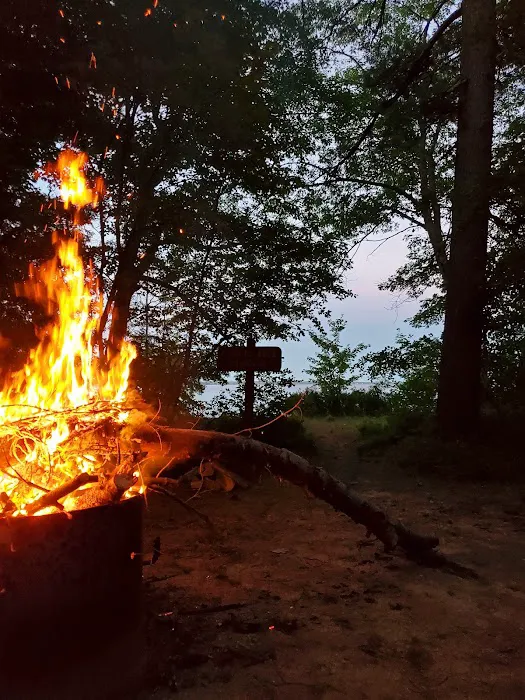 Brevort Lake Campground 6