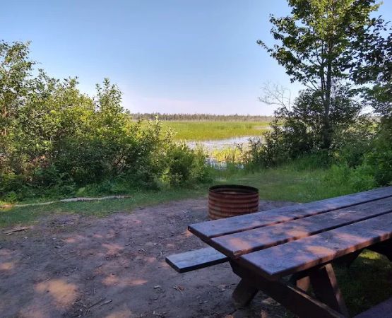 Natalie State Forest Campground