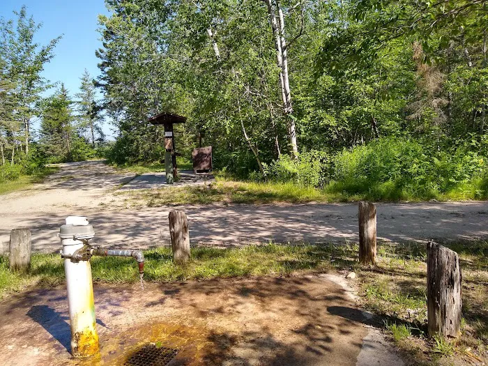 Natalie State Forest Campground 8
