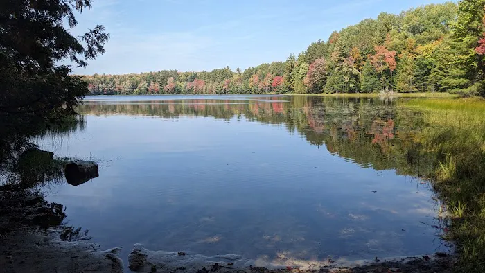 Lake Nineteen Dispersed Campsite 1