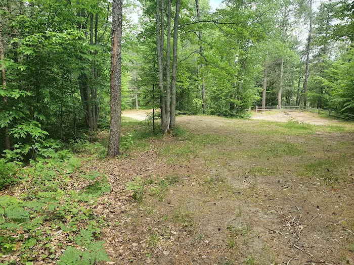 Swan Lake Campsite 1 and Boat Ramp 1