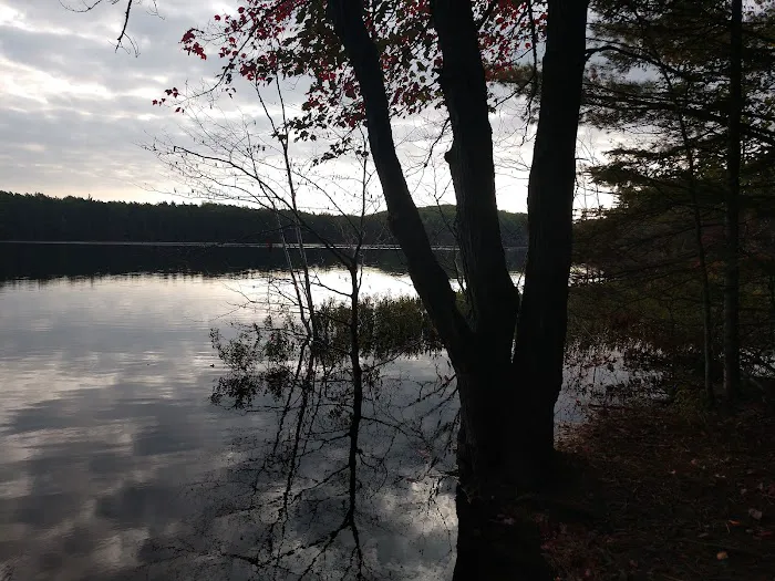 Swan Lake Campsite 1 and Boat Ramp 8