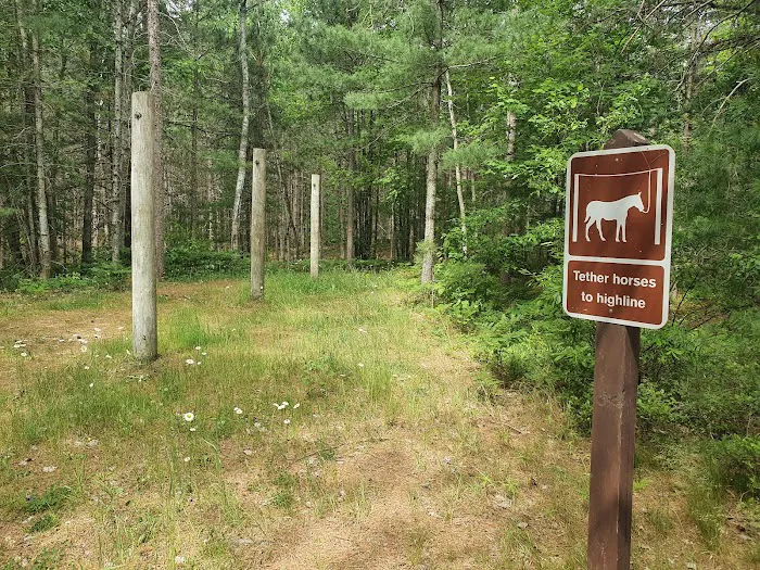 Swan Lake Campsites 2-4 1