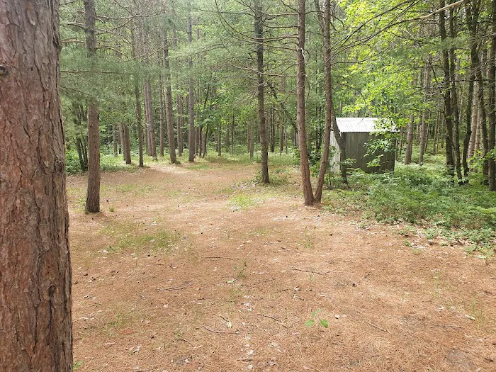Swan Lake Campsites 2-4 2