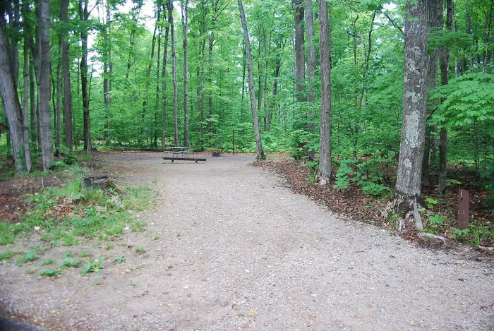 Pete's Lake Campground 2