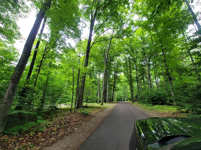 Pete's Lake Campground 4