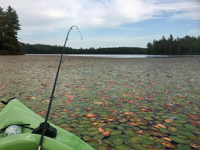 Big Island Lake Wilderness 7