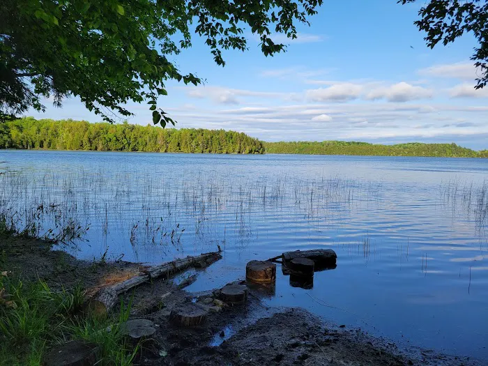 Bass Lake dispersed campsite 1