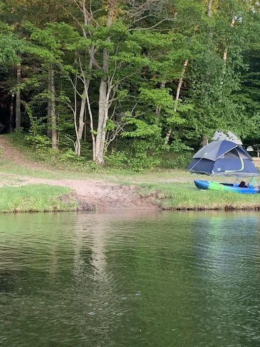 Council Lake Dispersed Campsite 2