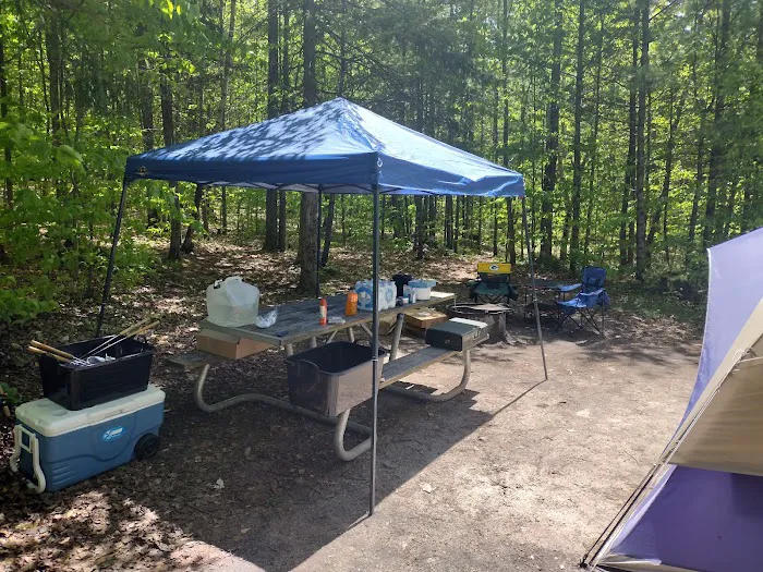 Council Lake Dispersed Campsite 1