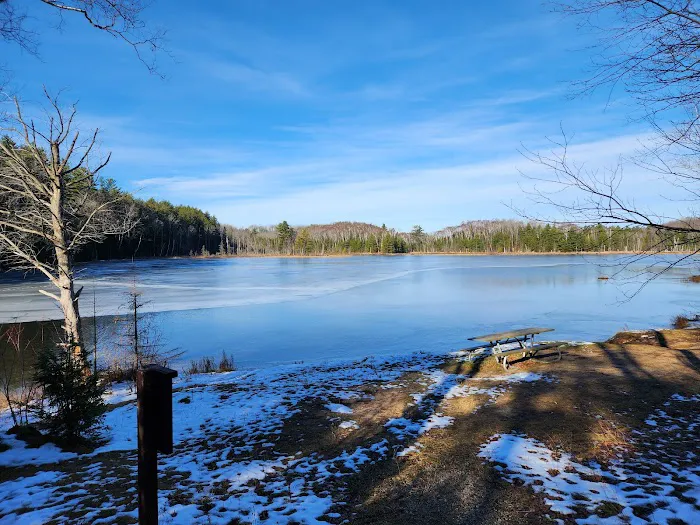 Council Lake Dispersed Campsite 0