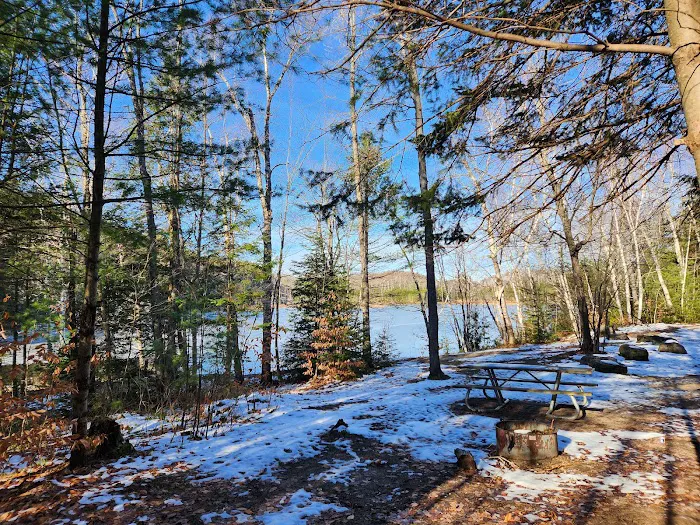 Council Lake Dispersed Campsite 6