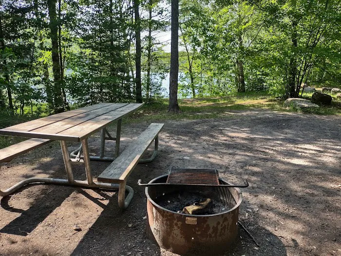 Council Lake Dispersed Campsite 8