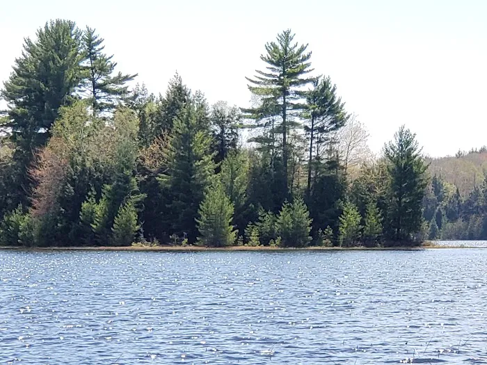 Little Bass Lake Campground 5