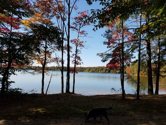 Colwell Lake Campground 4