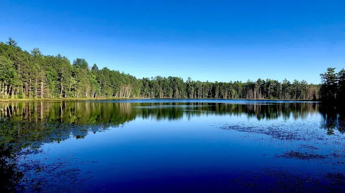 Island Lake Campground 2
