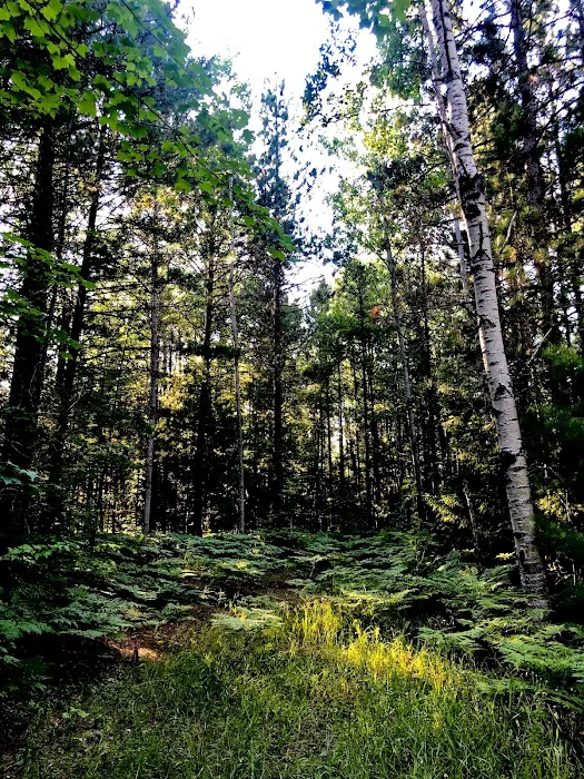 Island Lake Campground 3