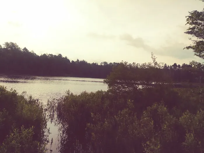 Island Lake Campground 9