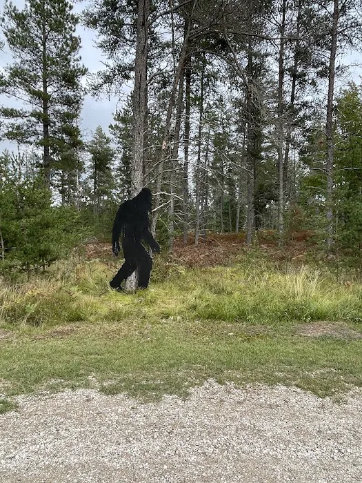 Jack Pine Lodge and Campground 8